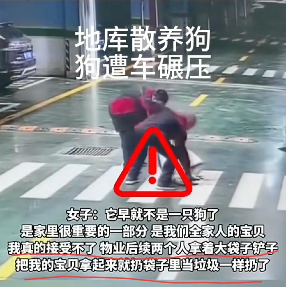 女子养狗不牵绳，任由小狗在车库乱跑，小狗被车碾压身亡。物业工作人员过来清理了现场
