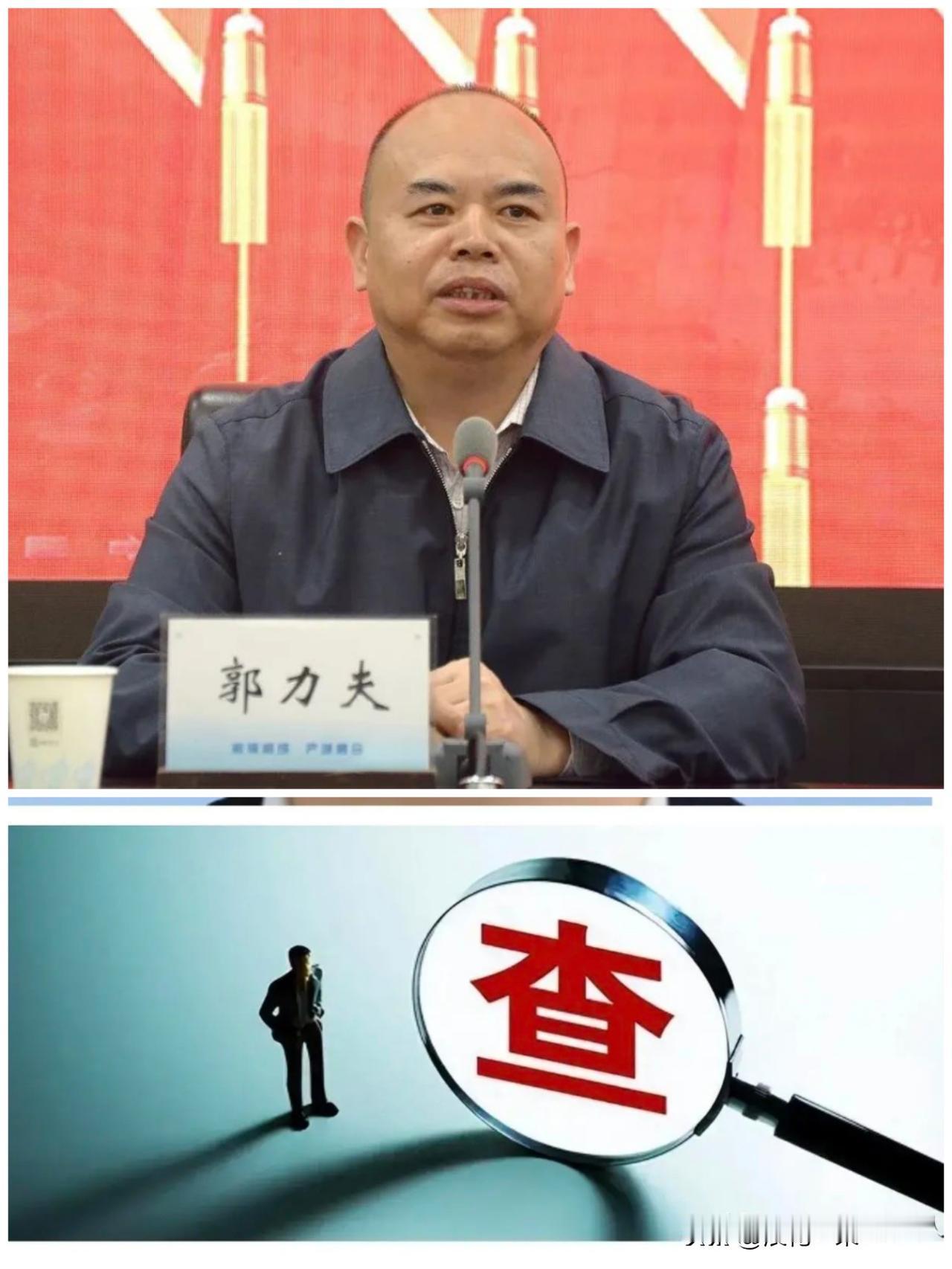 ……7月23日,退休没几年的厅级干部“郭力夫”被查了，1963年出生的他16岁以