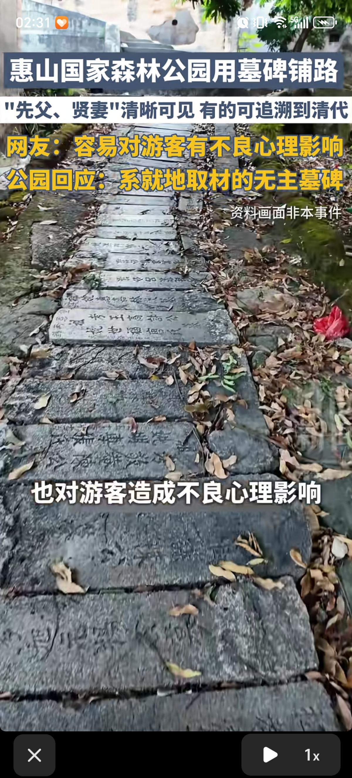 惠山国家森林公园的山路是用“墓碑”铺就的。通往山顶的青石板↑清晰的刻着“先父、伯