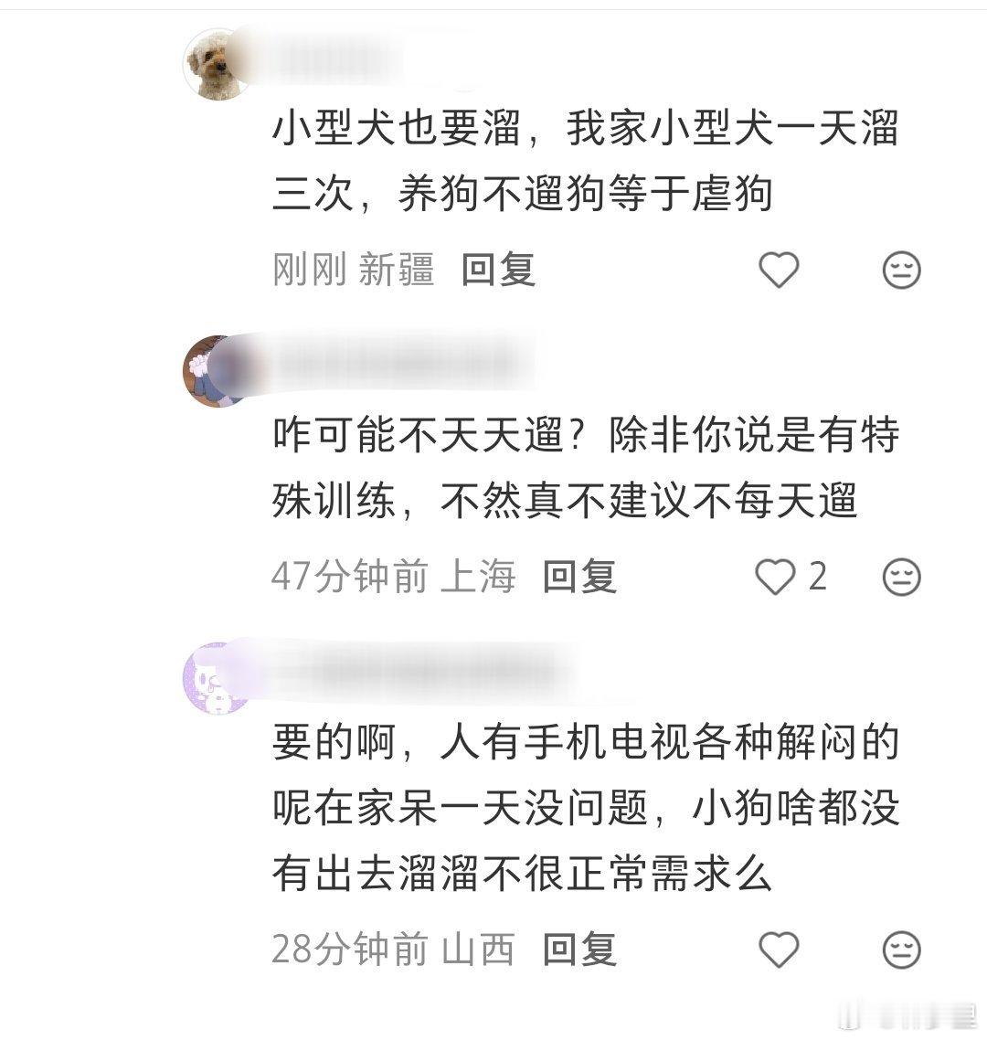 我虽然养狗，但有时是真的受不了爱狗人士。比如看到一帖子抱怨每天遛狗很痛苦，快把她