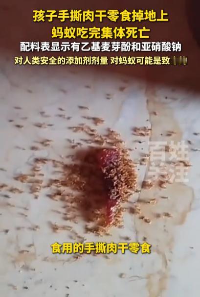 太可怕了！5月20日报道，海南一位家长拍到离谱一幕：自家孩子吃的手撕肉干掉了点渣