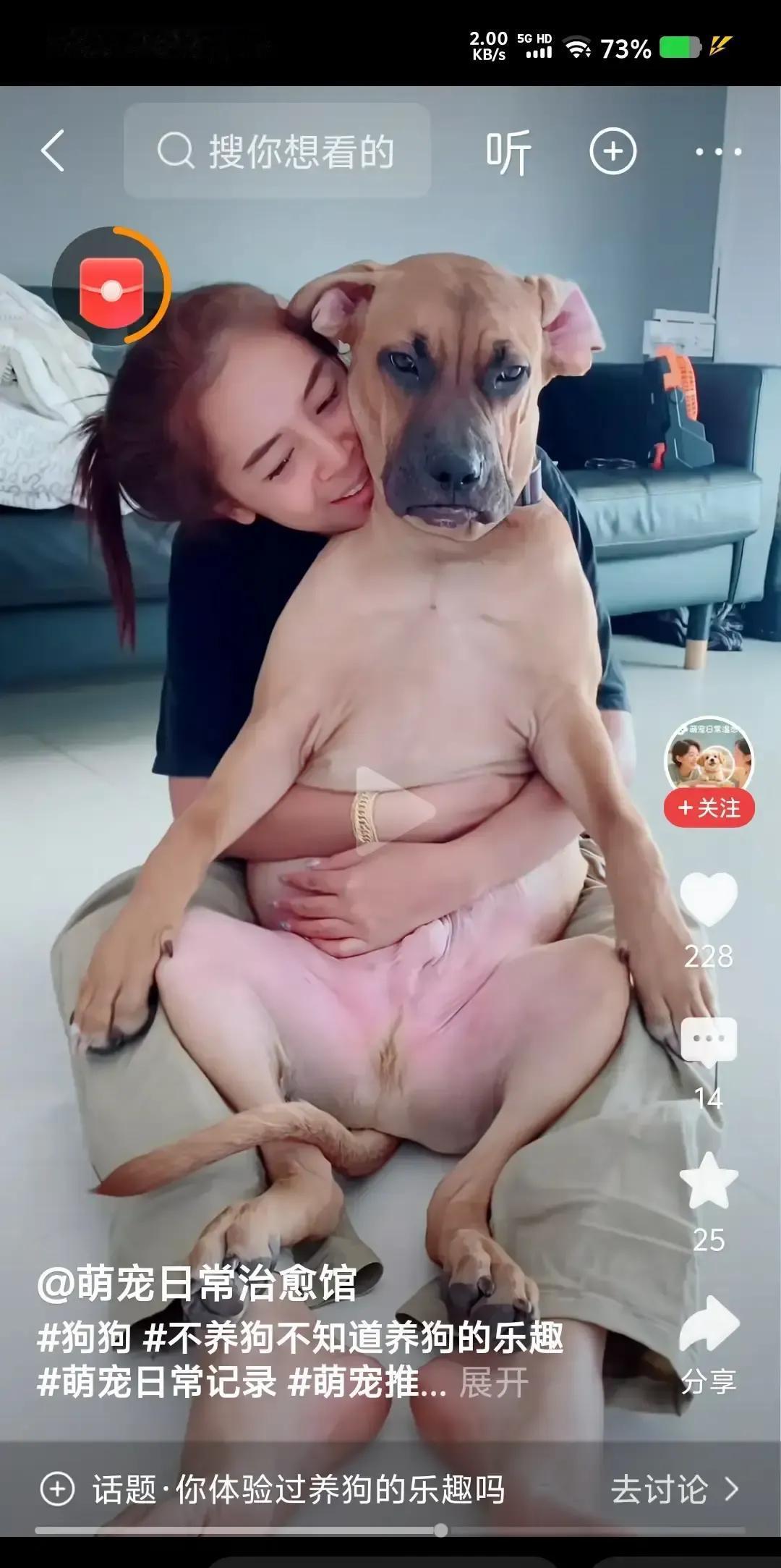 刷到一条吐槽说狗脏会咬人搞不懂为啥有人把脸贴狗脸上。我盯着屏幕愣了三秒低头看看