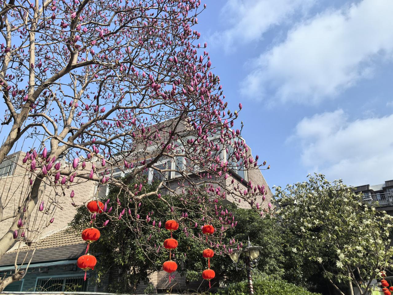 非要体验一把人走茶凉吗三八节快到了，我和一个朋友相约到附近的城市去