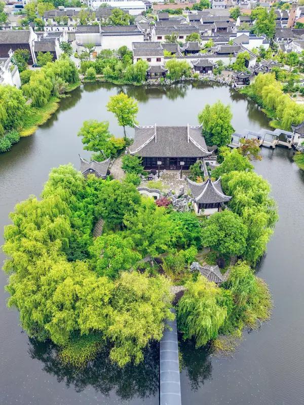 即使没其他商人收茶，他们也有应对办法。其实晋大奶奶犹如当今的大财阀，有钱，有人脉