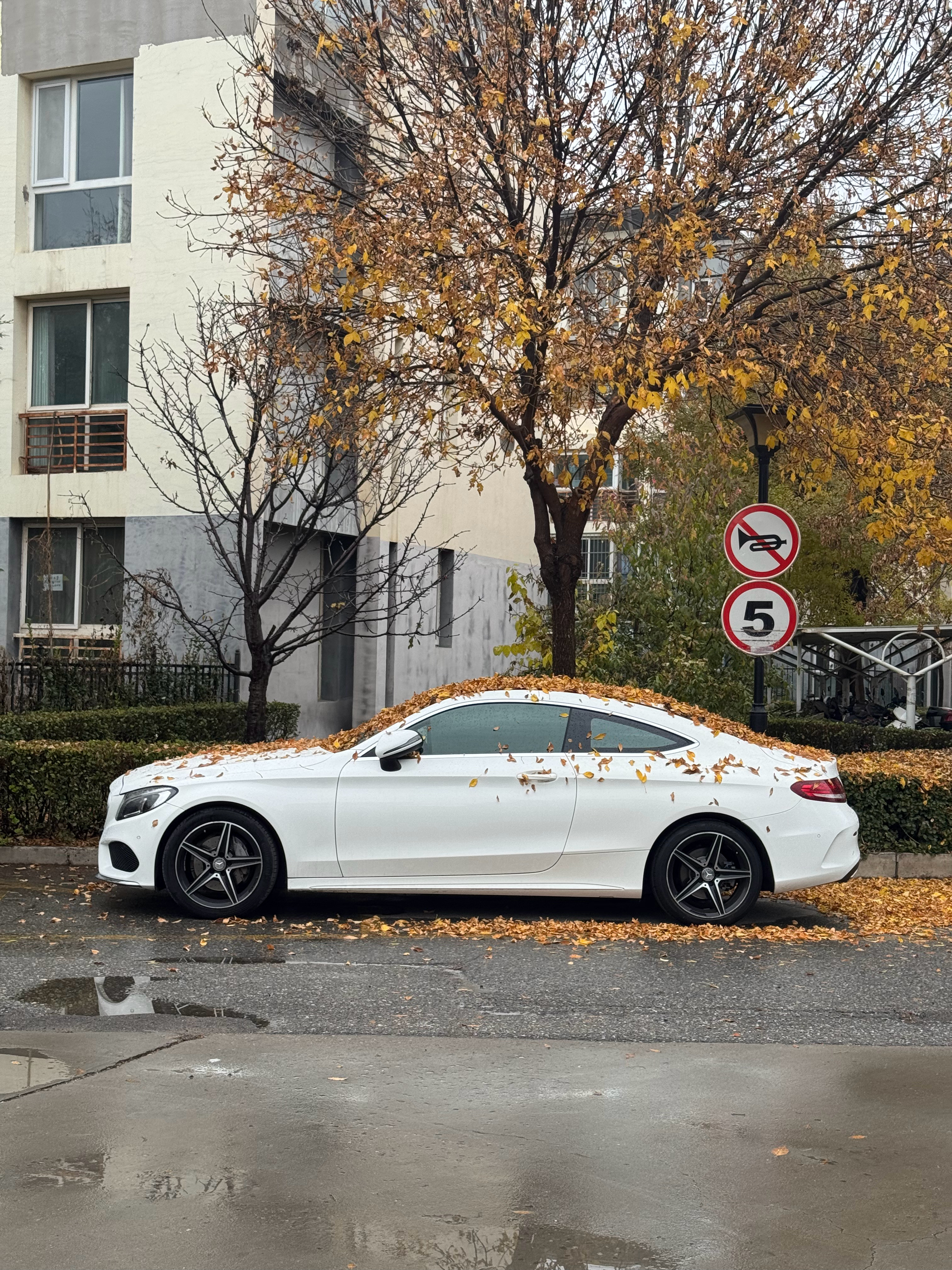 车停的不错​​​