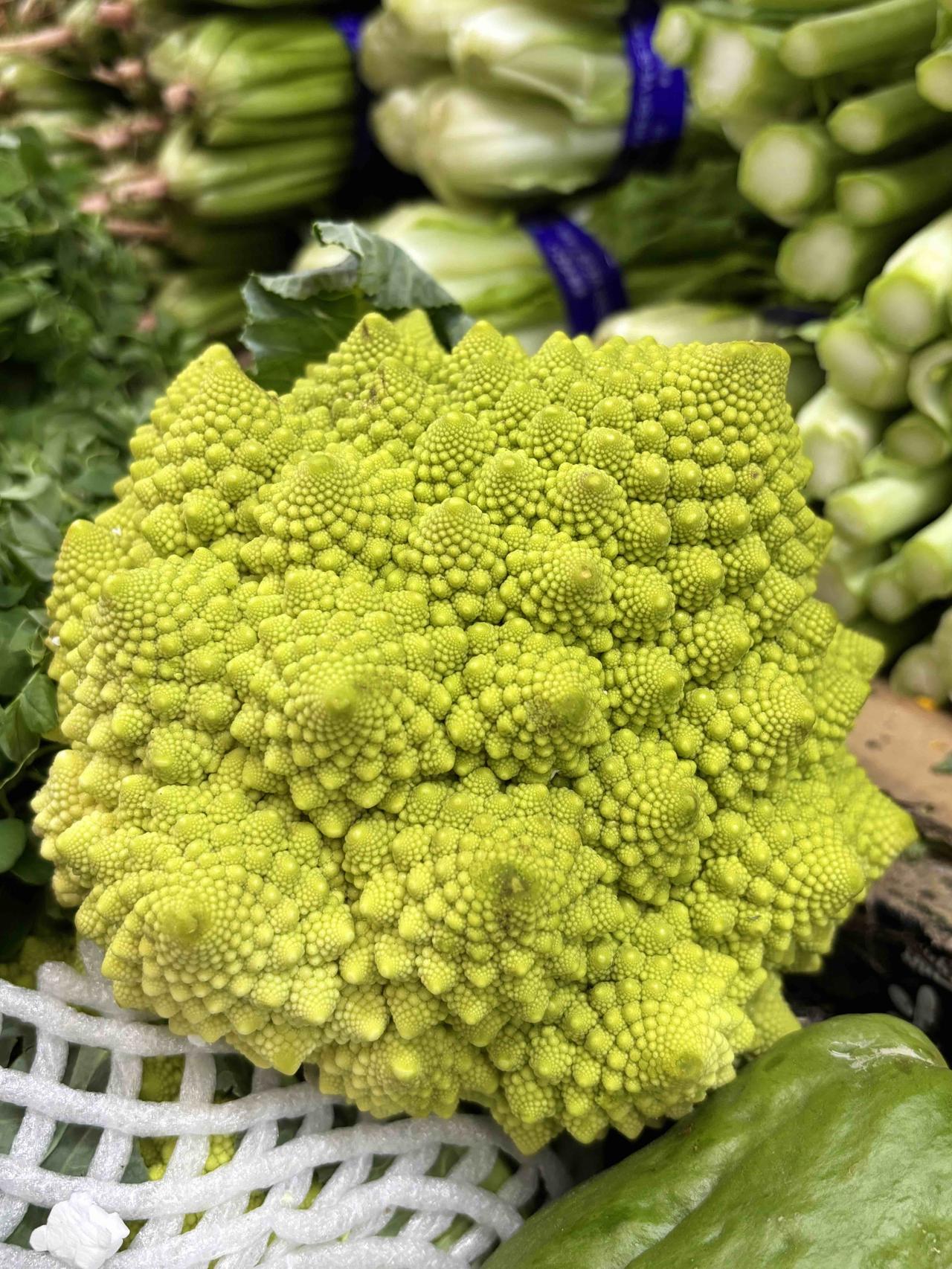 我有个同事，家底很厚，北京几套房，但很少旅游。一年15天年假，都是零零散散的请假