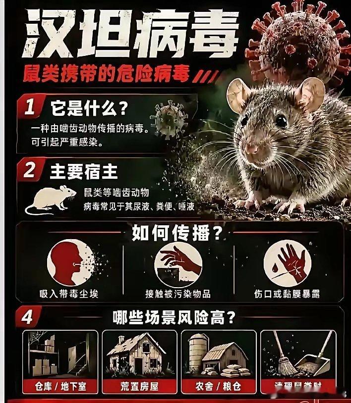多国陆续出现涉汉坦病毒病例，世卫已启动应对行动！台北汉坦病毒病例引关注，A股防疫