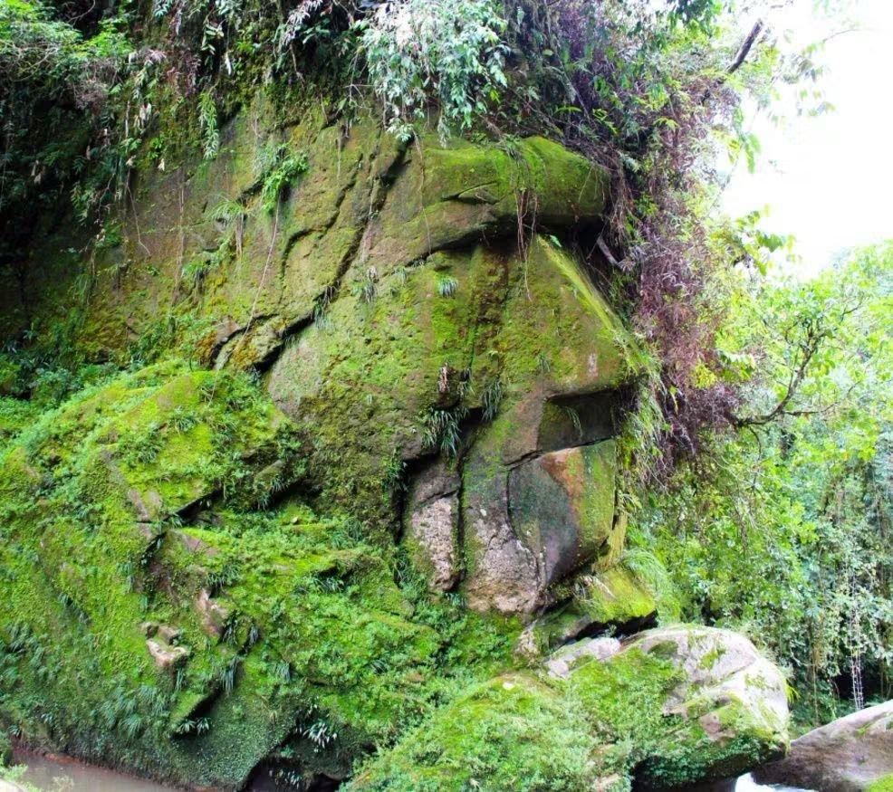 在秘鲁马德雷德迪奥斯（MadredeDios）地区的阿马拉卡埃里（Amara