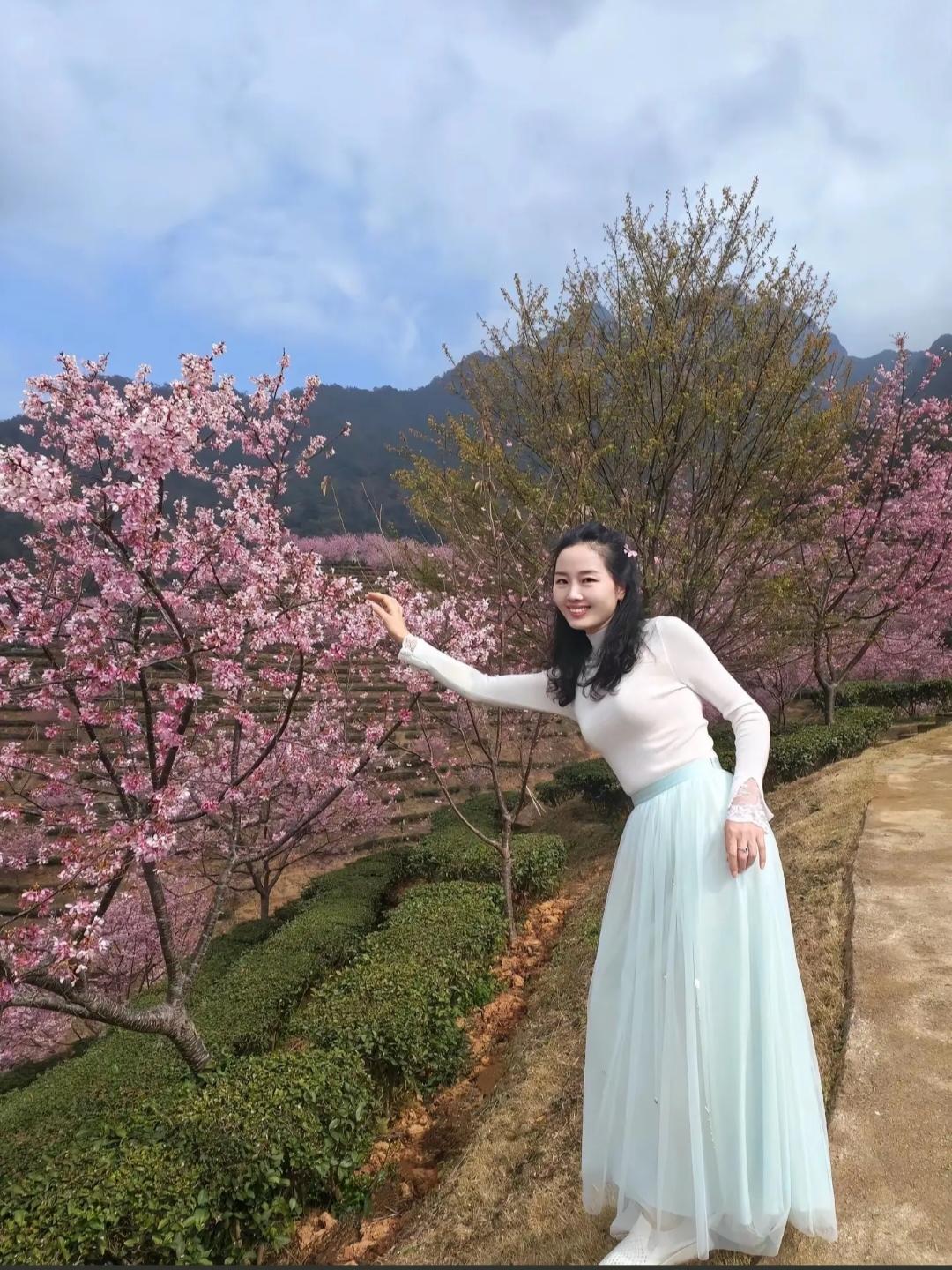 春日赏花，漫步在粉色的花海中，感受大自然的美好。