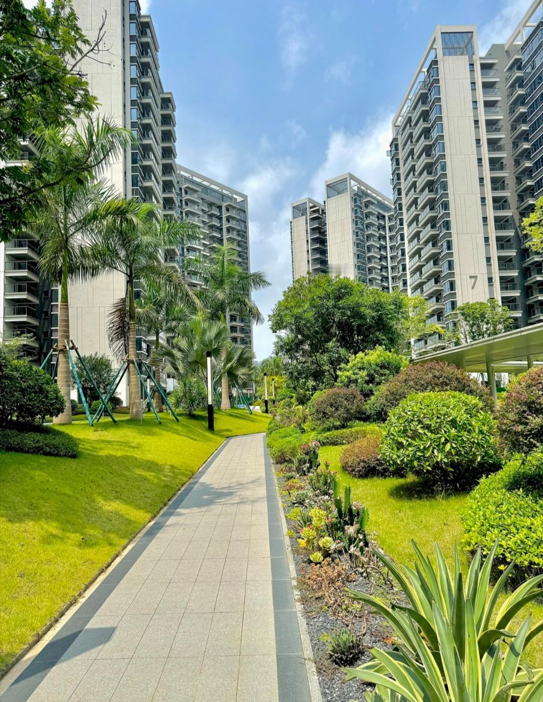 遇到这种人，两个字“远离”!!我只有一个弟弟，相差3岁从小不管是爷爷奶奶还是