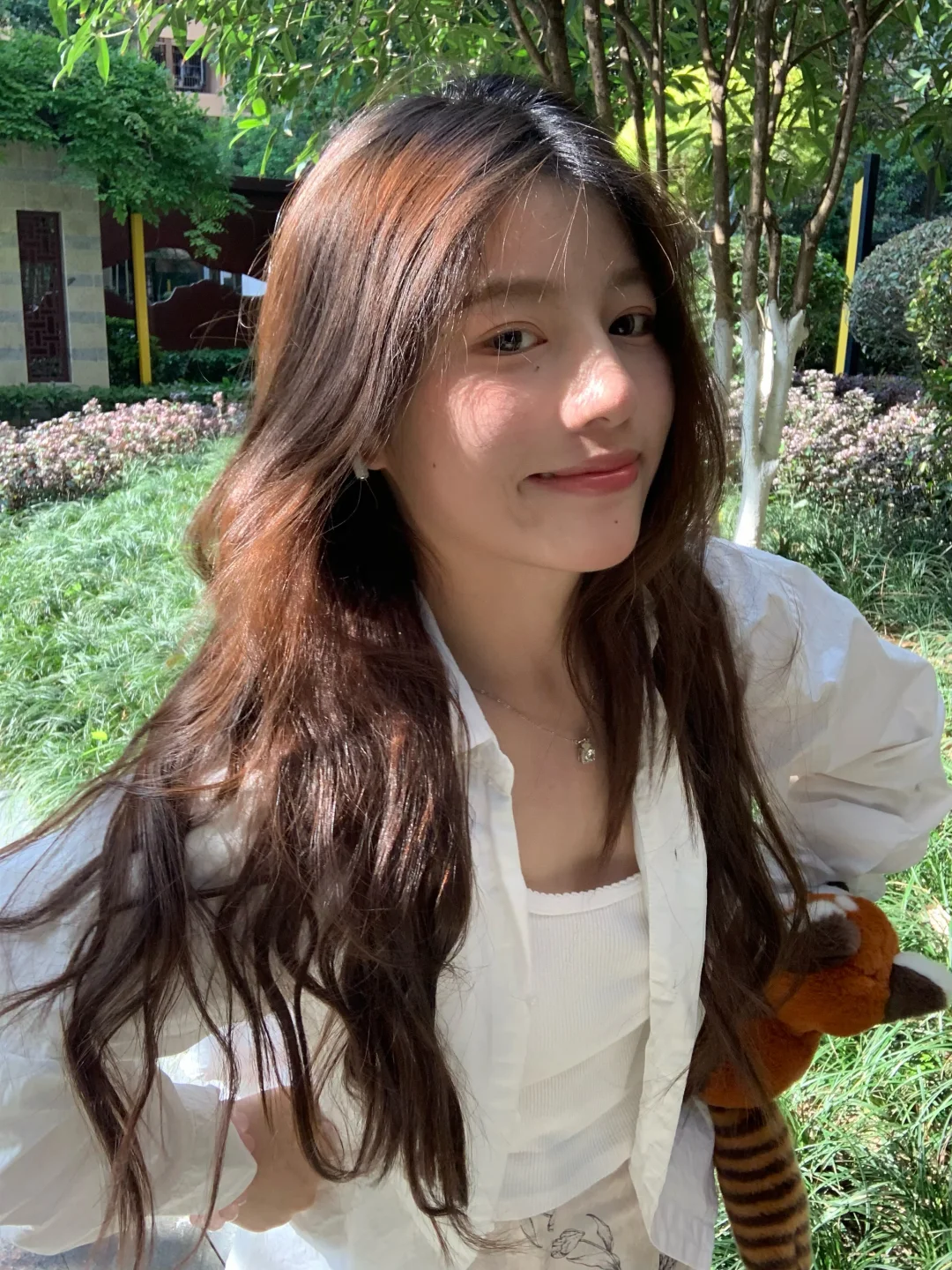 也许是天气🌱›ᴗ‹🌱