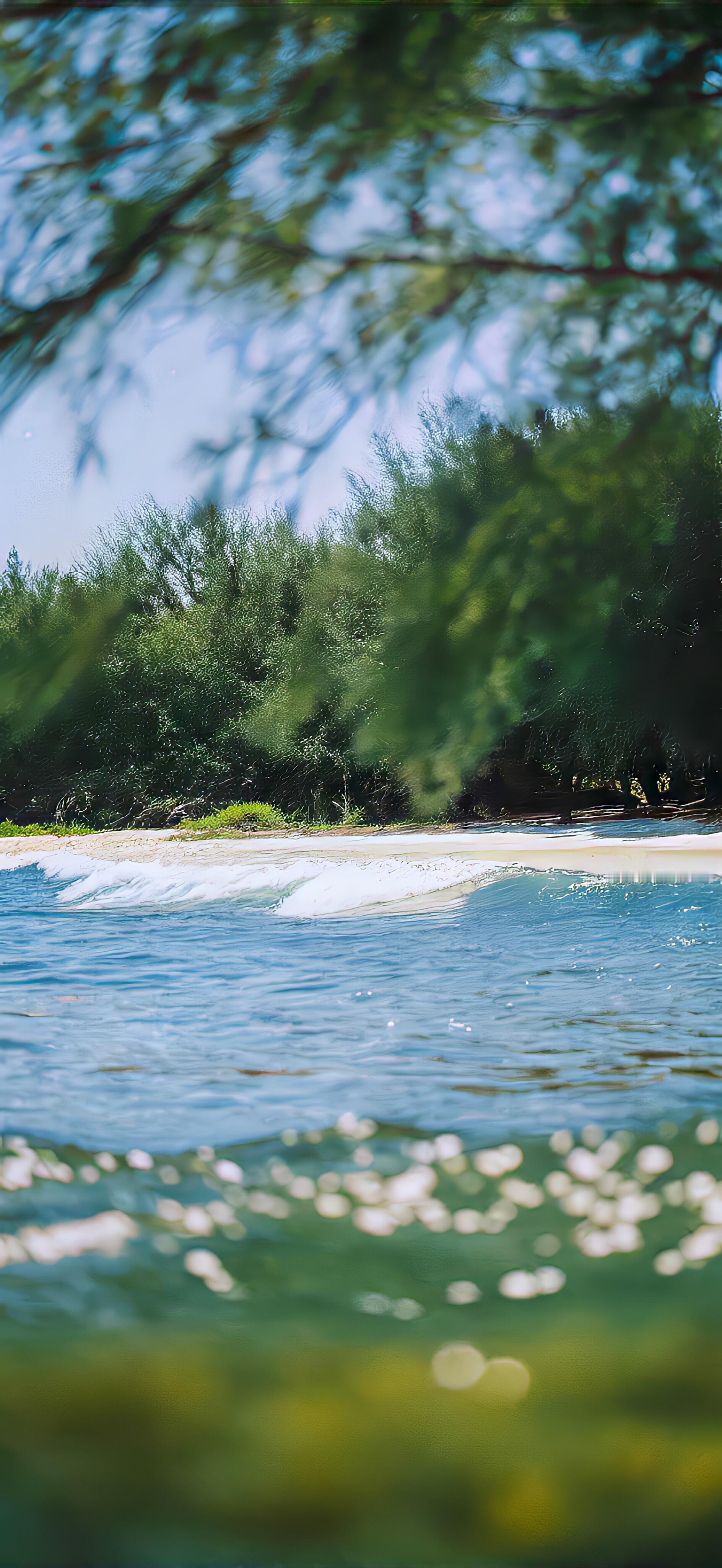 𝙒𝙚𝘾𝙝𝙖𝙩｜治愈系壁纸​​​