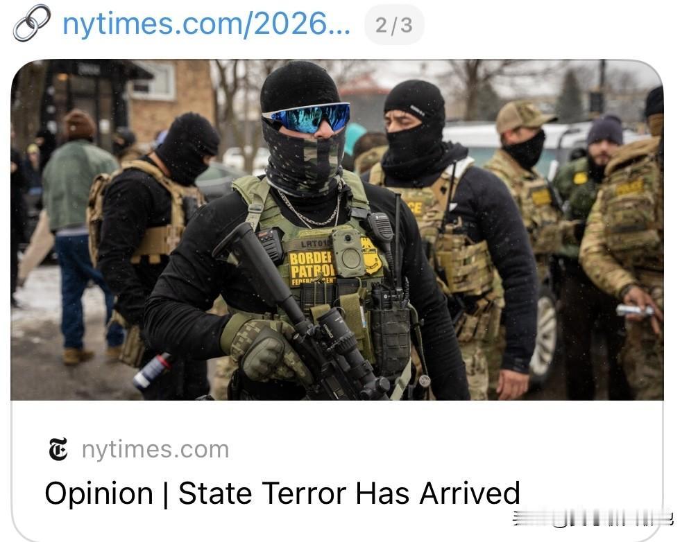 《纽约时报》发表专栏作家格森（M.Gessen）的文章，指美国已进入“国家恐怖