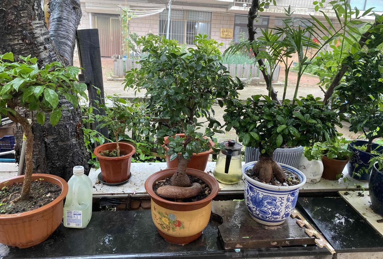 保姆还是不要太“聪明”早上我站在大门口透透气，很想在小区里走一走，无奈外面下着