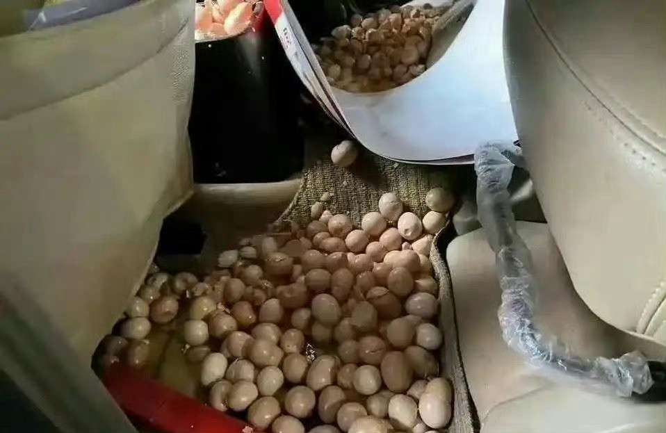 家人非得让带这下好了怎麽办