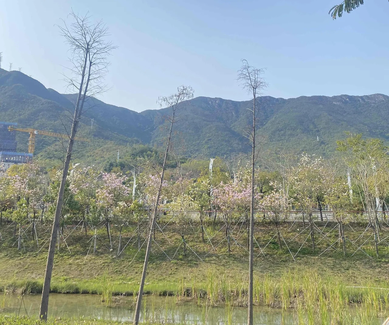 我有个大学同学，88年的，去年被公司优化之后，就再也没出去找工作。我们前几