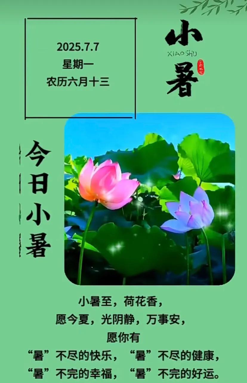小暑至，荷香满，愿你心静如莲。