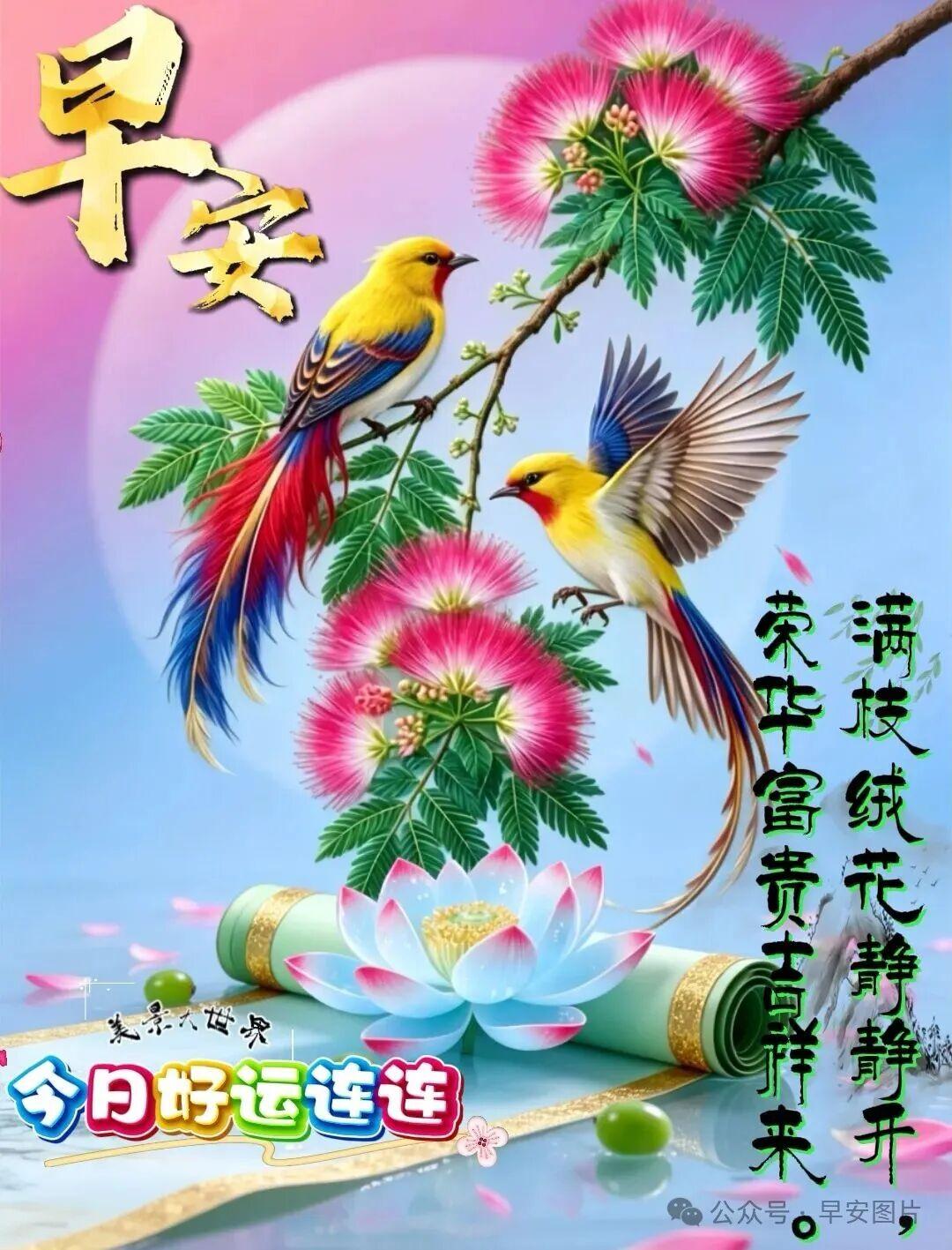 🌹❤️有今天的健康，才有明天的幸福，照顾好自己，💐🌅才是最好的选择。🎉?