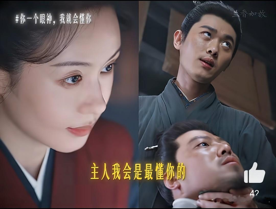 《兰香如故》杜翠雀落海成海盗，杀回林家的狠绝算计，根本不是为了报仇这么简单谁能想到，当年被林锦岐亲手