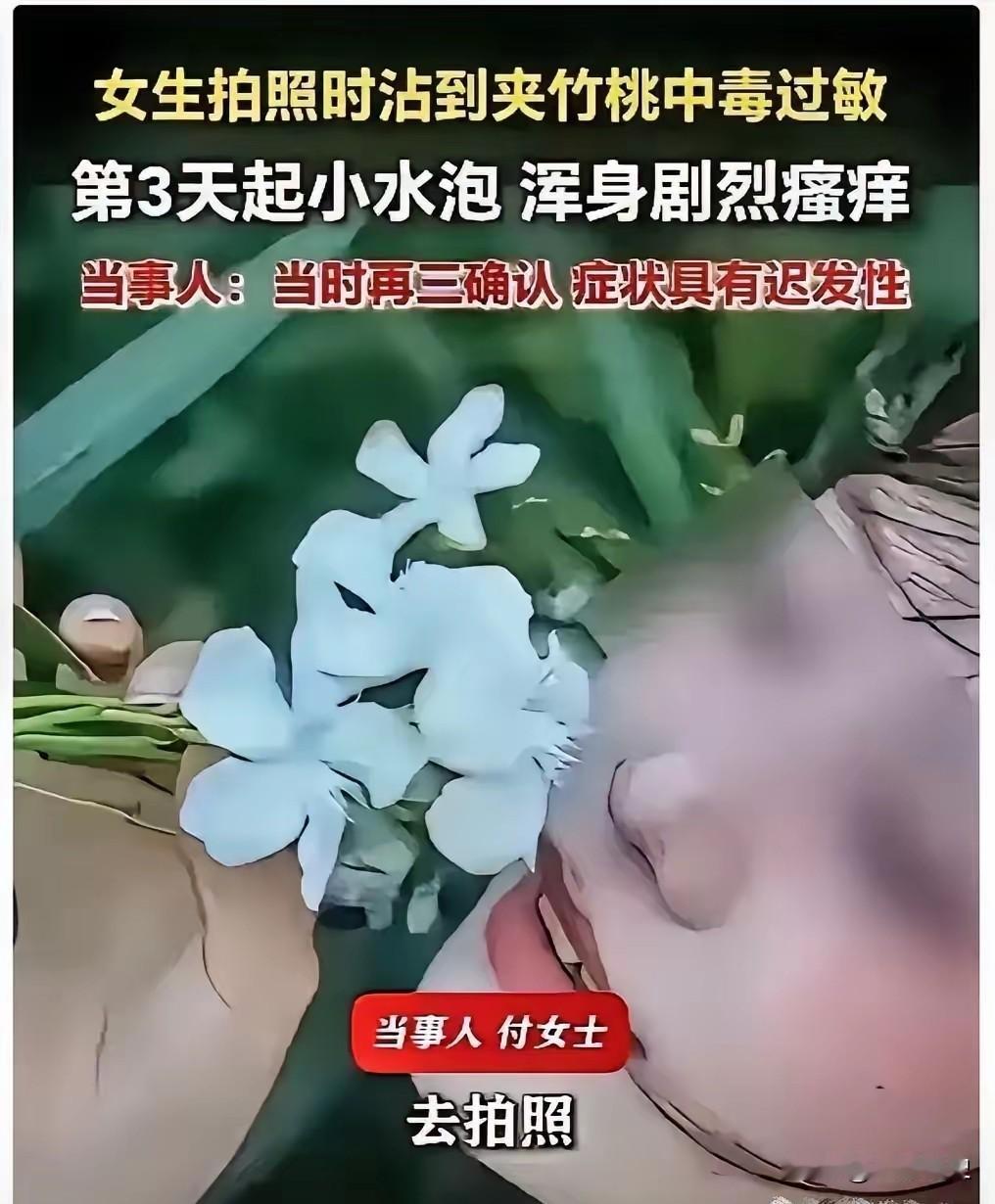 “悲剧还是发生了！”6”6月6日，福建泉州一女子拍照含花中毒在抢救室躺了3天，更