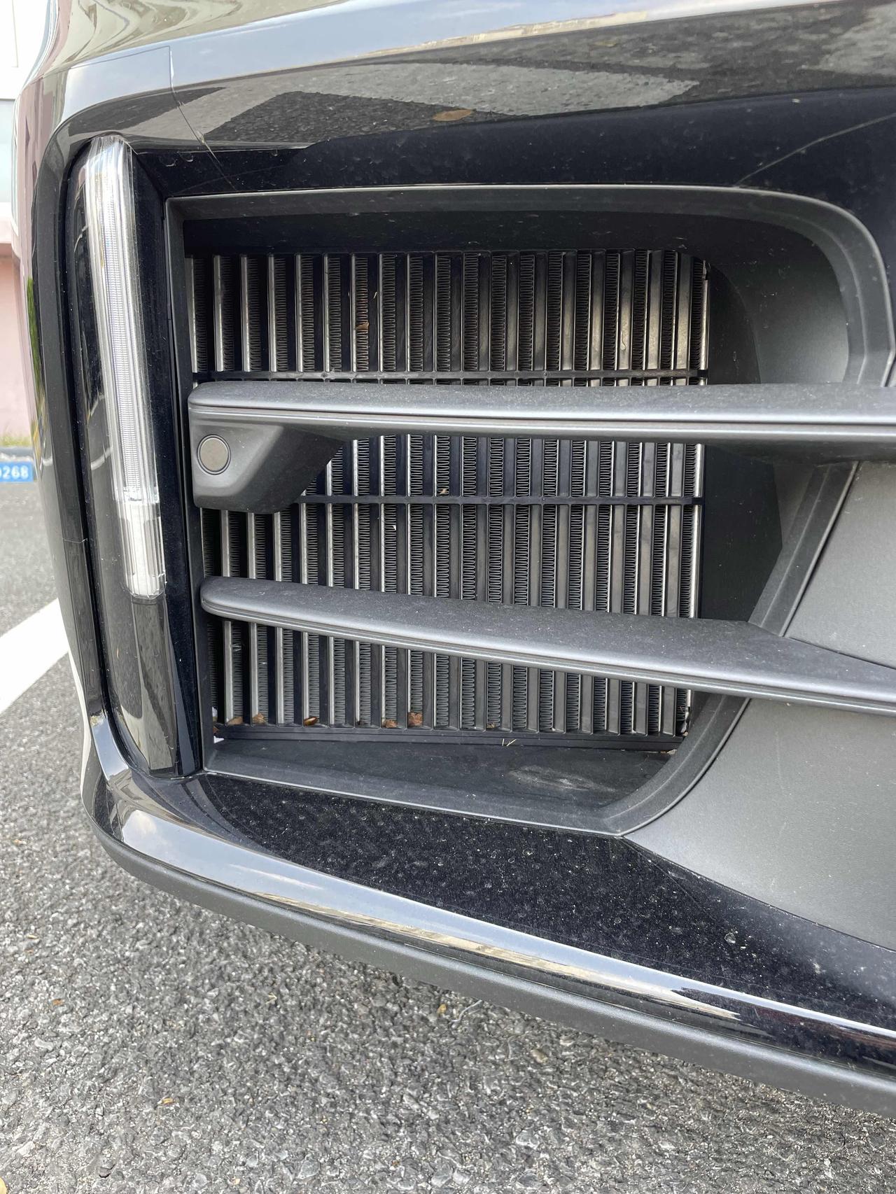 一帮车企都被某些豪华大品牌车企带歪了的后果。中网完全不考虑规避树叶、碎石子等