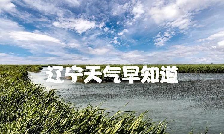 辽宁的朋友注意了！今天是7月22号星期二大家早上好！高温暑热，上蒸下煮……今天