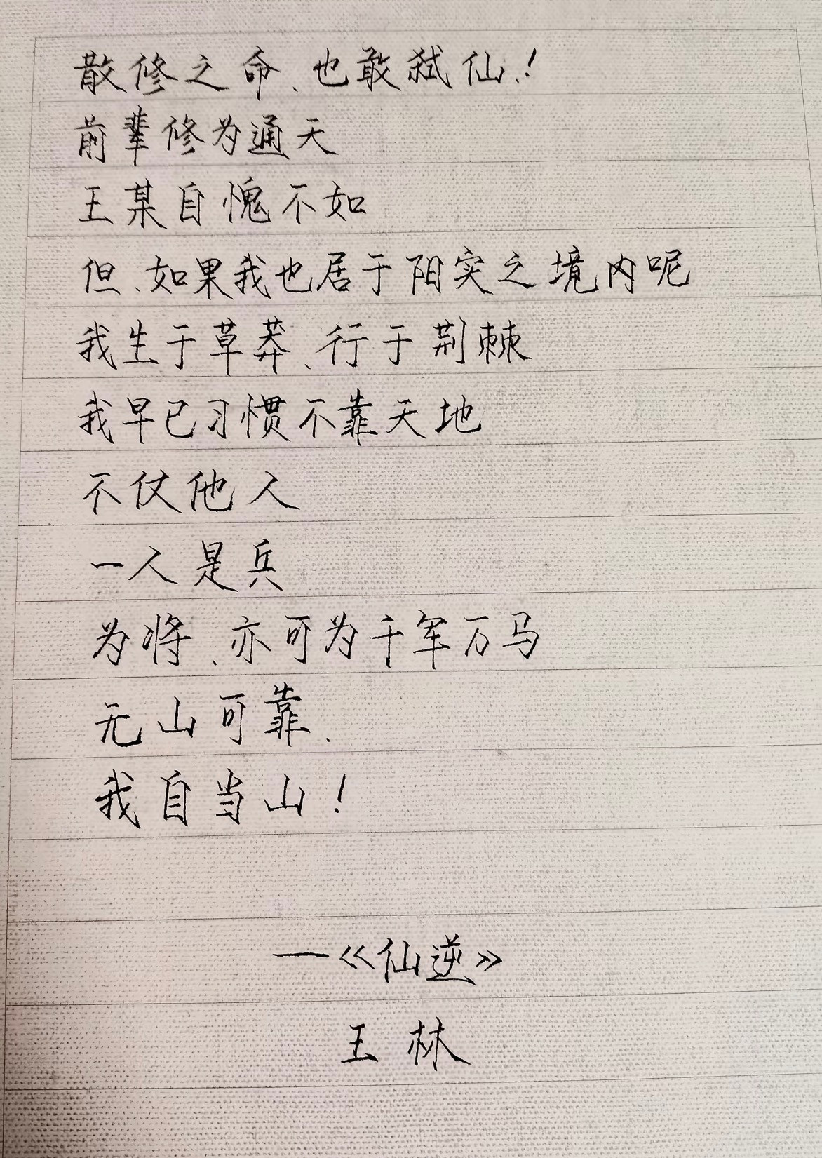 天要阻我我便逆天而行仙要杀我我便弑了那仙无山可靠我自当山！仙逆动画