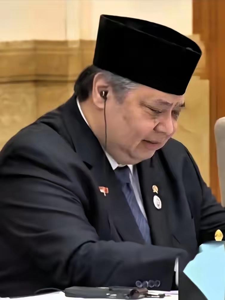 印尼这脸，翻得比翻书还快。​前几天投资部长罗山、经济统筹部长艾尔朗加接连表态，