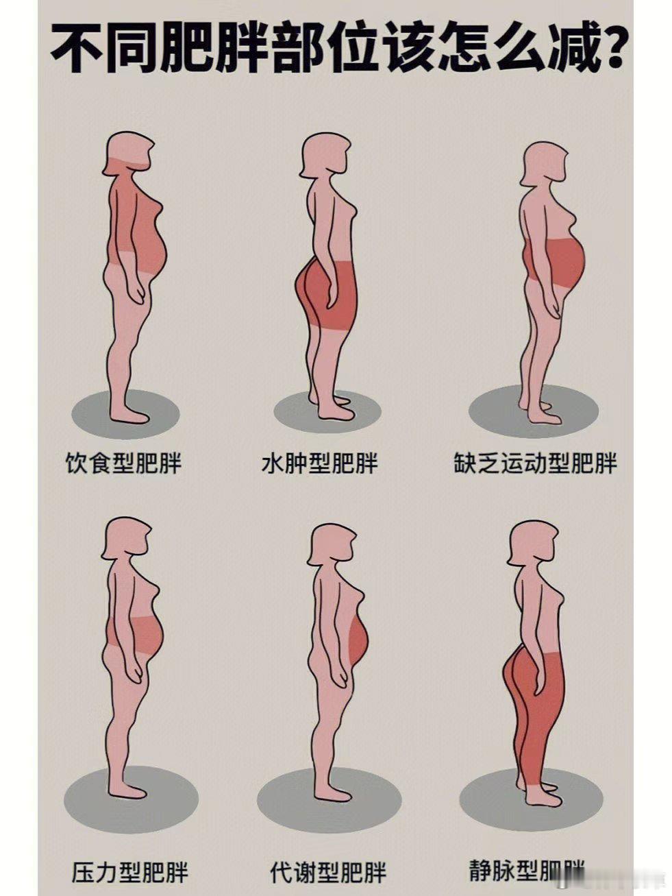 难怪饿死都瘦不了几斤​​​