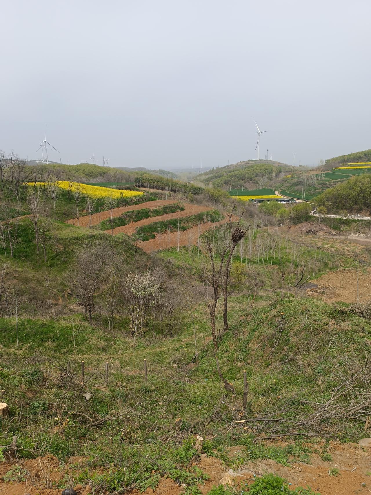 大家发现没有，只要是把儿媳妇娶到家，儿媳妇能喊爸妈的，家里都过的很好，如果儿媳妇