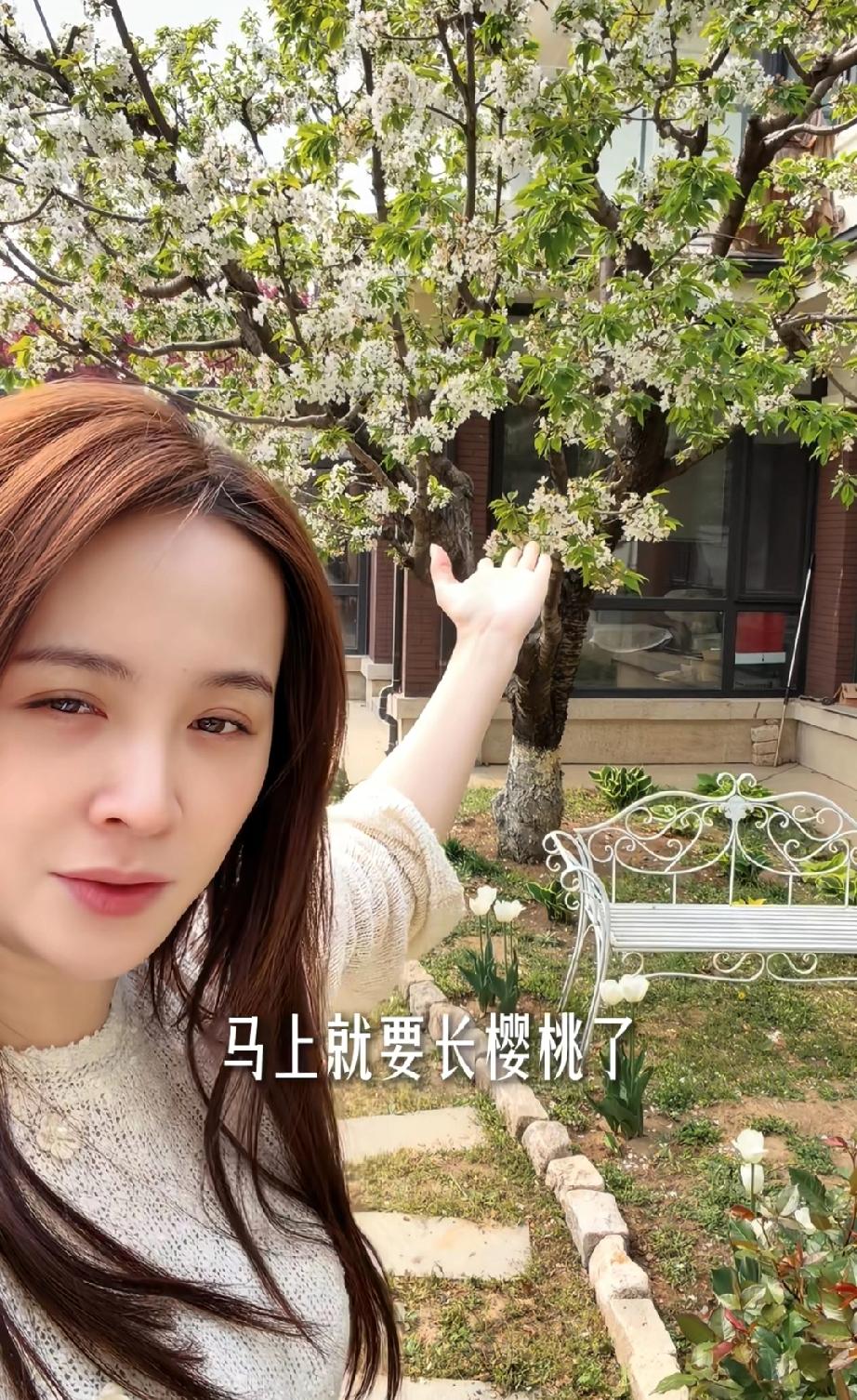 邓莎晒自己花园别墅的春景，她这院子大小比许多明星的别墅院子都大，有假山，庭院，别