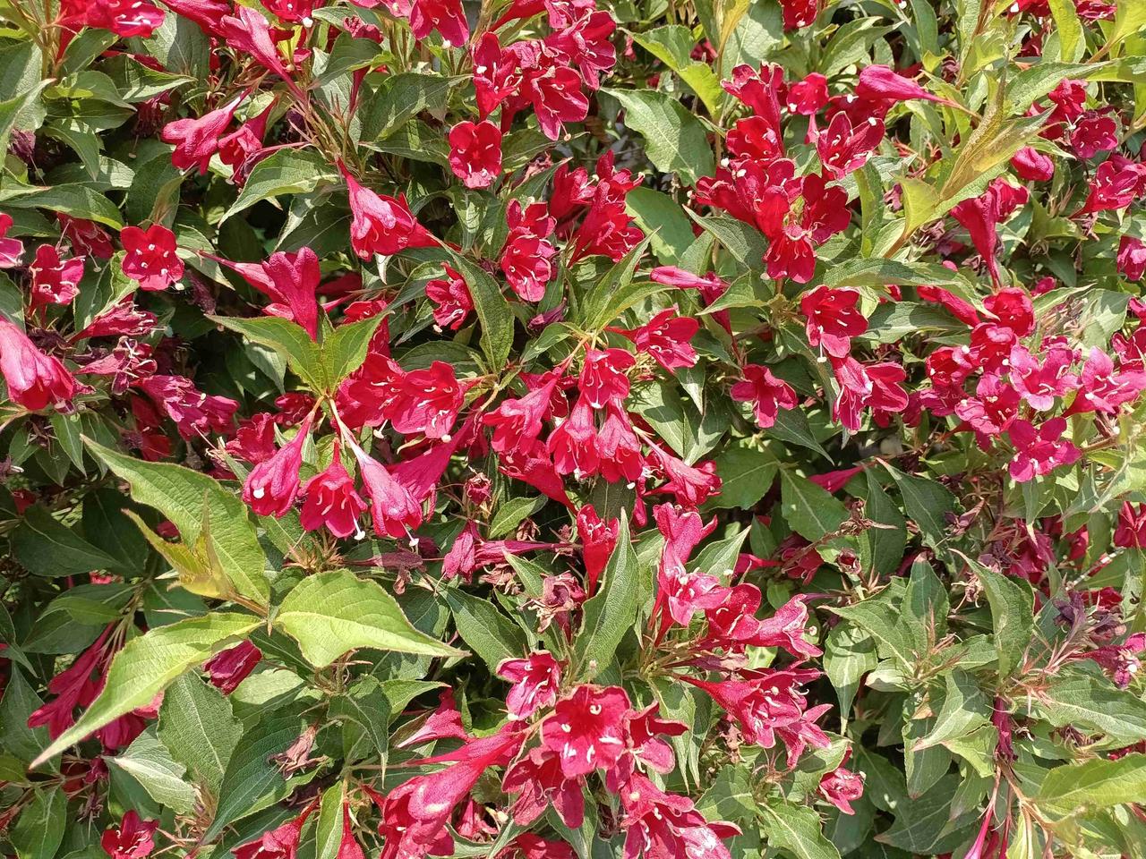 早上六点多，就给妈妈做好早饭，看着妈妈还在睡，就耐心等，等到八点多，妈妈起来小便