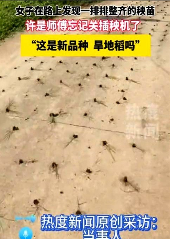 “这下亏大了！”5月3日，江西，一师傅带着插秧机去地里插秧，结果，却忘了关，就这
