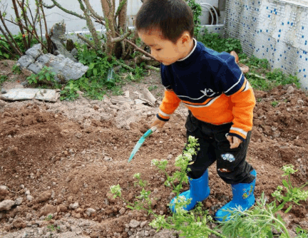 3岁宝宝在奶奶家午睡后再也没有醒来, 医生诊断后, 家人痛哭