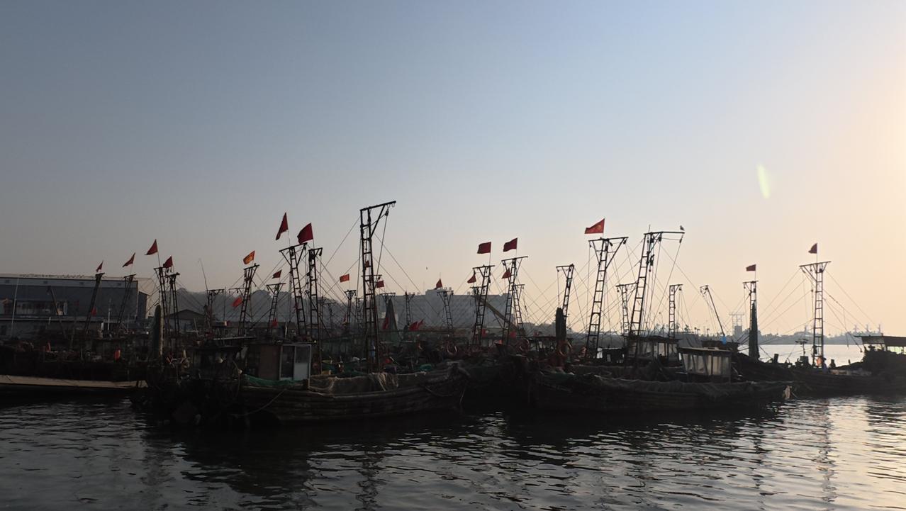 🌊蟹子湾渔船停泊点12月1日起关停，渔船需全部转港。这已经是今年甘井子区关停的