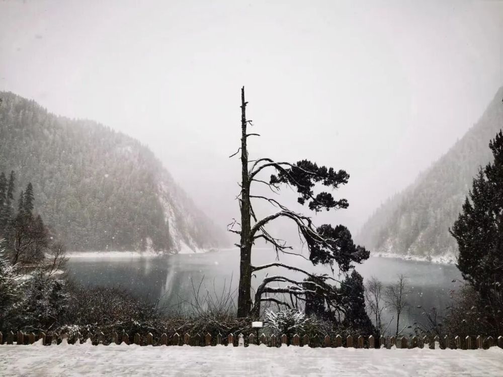 九寨沟发文: 严禁一切非法穿越行为