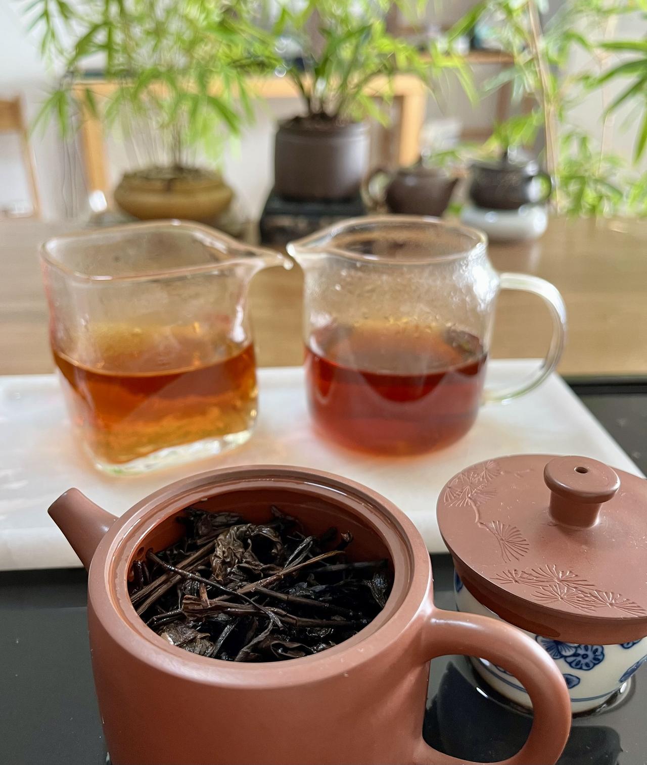 六堡茶的历史古人认为，广西湿热，多瘴气，最早，岭南先民为了祛湿清热，