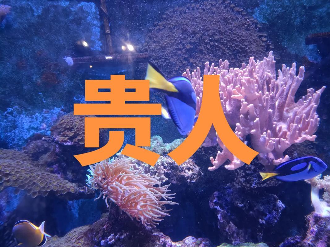 我发现普通人一辈子遇不到贵人，不是没运气，而是没活成“值得帮”的人