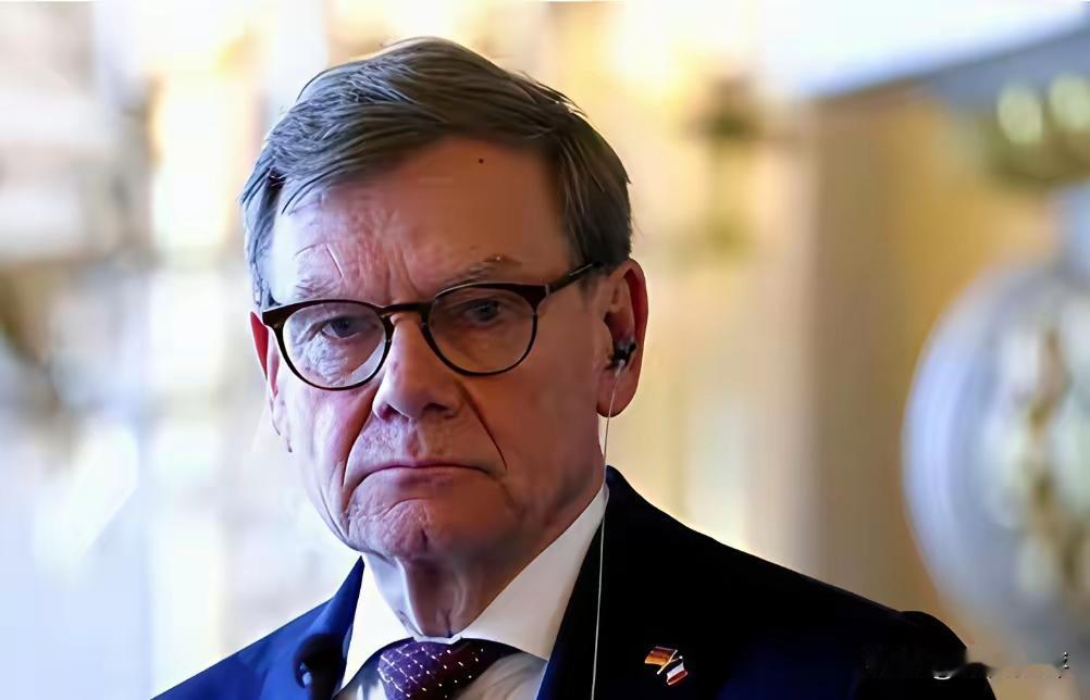 德国外长说，稀土用在哪里，中国无权干涉。那我们也可以说，稀土是中国的，中国想卖给