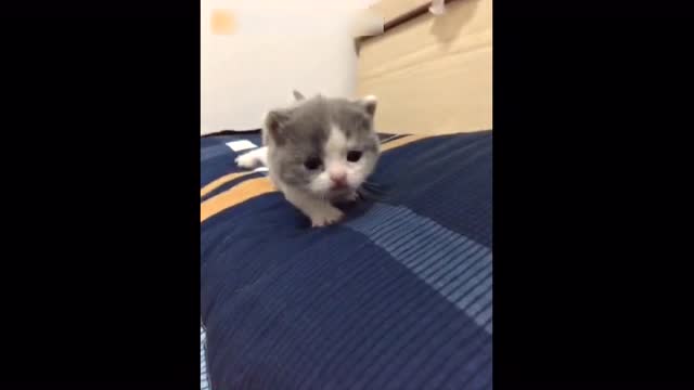 12300196177834458399.jpg?id=0