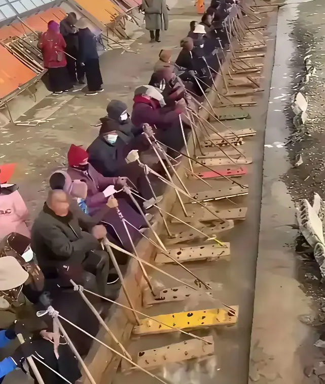 一看就是河南人不接受反驳