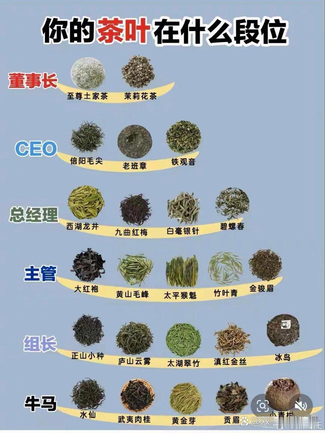 你喝的茶叶什么段位