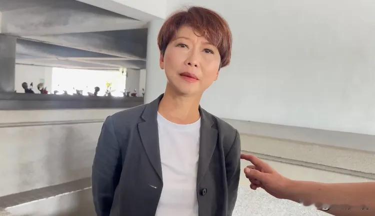 陈亭妃脱党参选台南市长？民进党立委陈亭妃昨天（11日）在台南举行造势活动，而