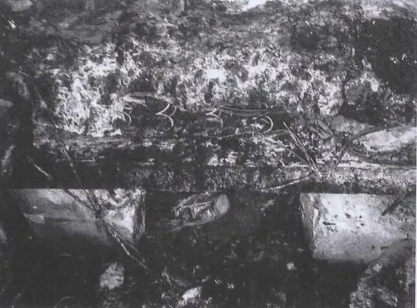 北京52岁装修工床沿充电瓶车电池起火身亡，家属告房东索赔百万，法院：一分不赔！