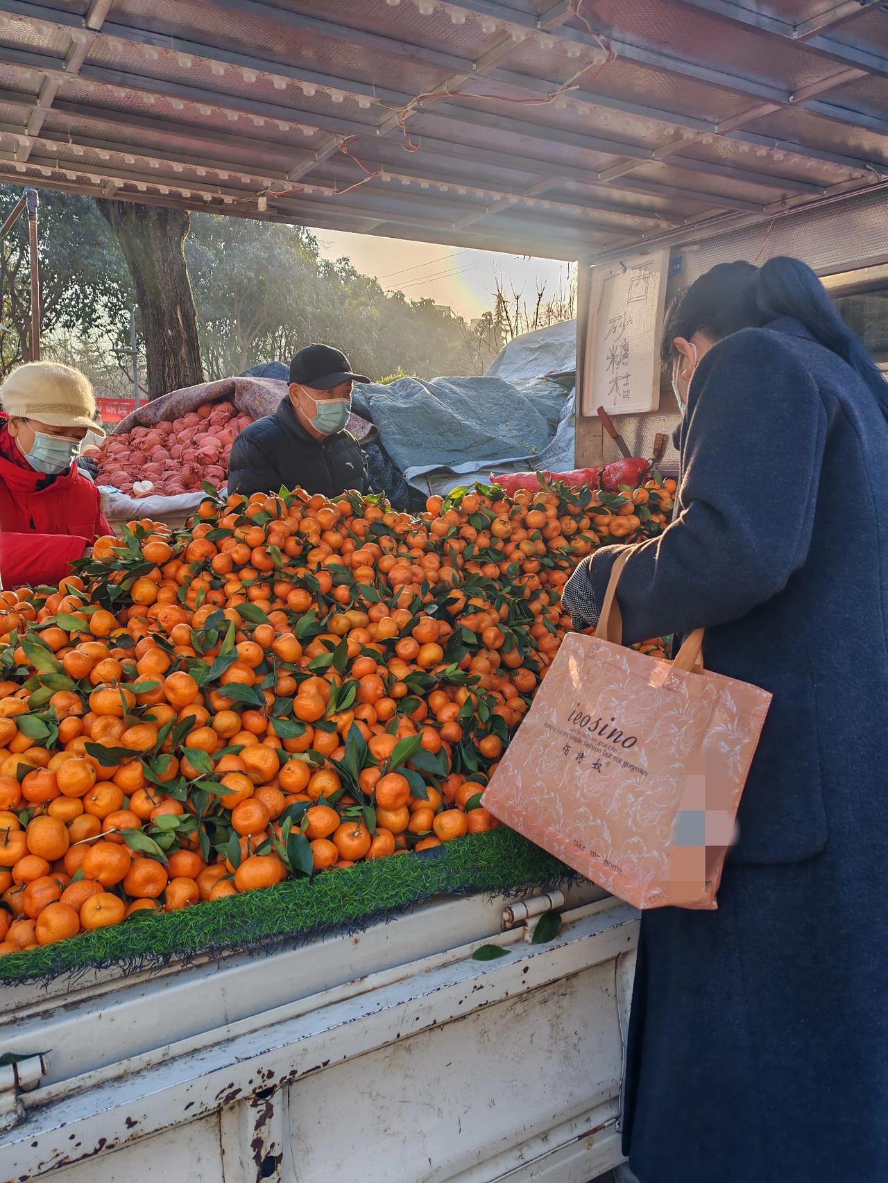 今年沙糖桔确实卖不上价12月15日，坐标西安。这是我昨天早上溜达顺手拍的几张图