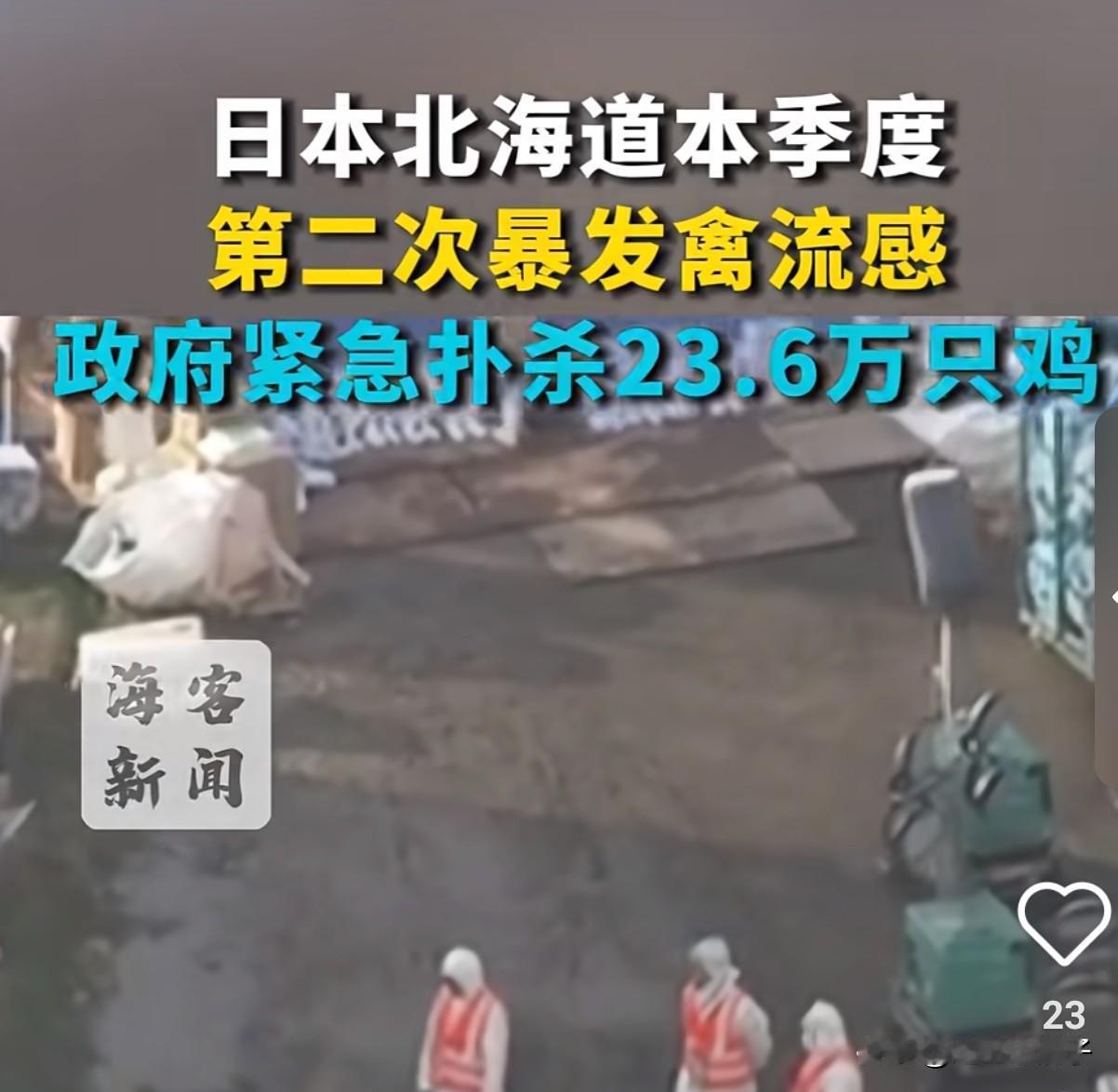 日本禽流感大爆发！63万只蛋鸡被扑杀，全球多国早已沦陷刚刷到日本新