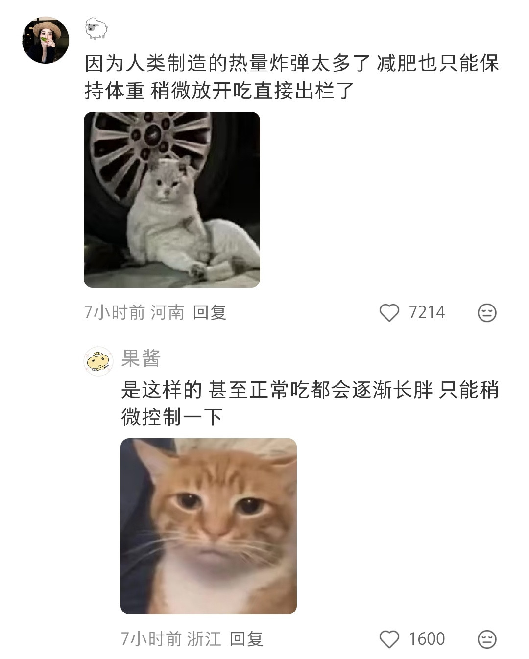 真的，减肥是为了保持体重而已。人只要正常吃饭，体重就会持续上涨。不仅是好看不好看