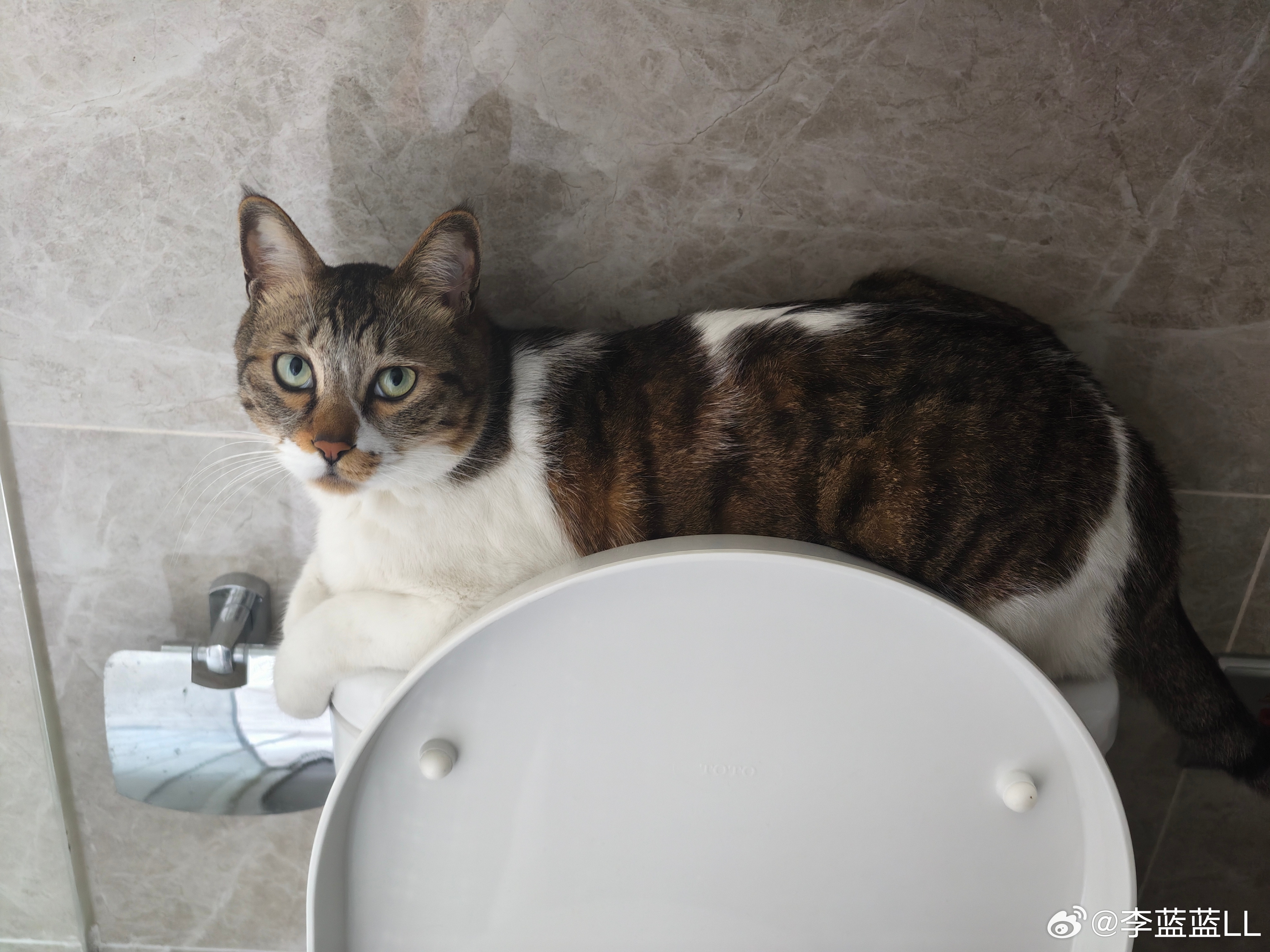 你这看着让我怎么上厕所？？？