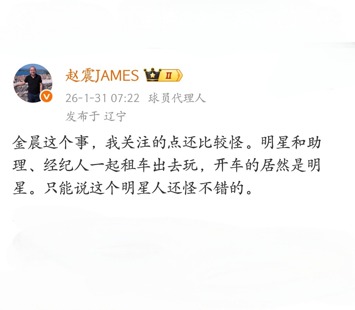 这角度很有道理，而且金晨还是为了避让流浪狗的。