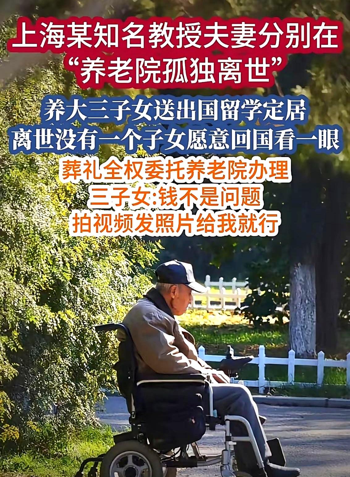 深夜养老院接到一通跨洋电话时，值班灯还在闪。那对教授夫妻走了，海外儿女让院方全